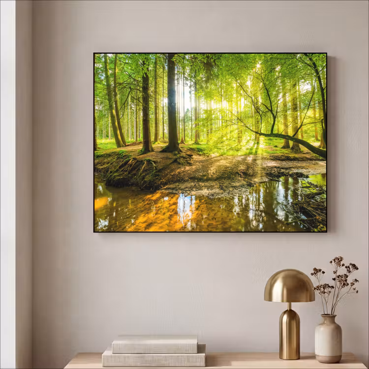 Art Frame - Bos - Landschap - Water - Bomen - Zon - Groen - Natuur — 5