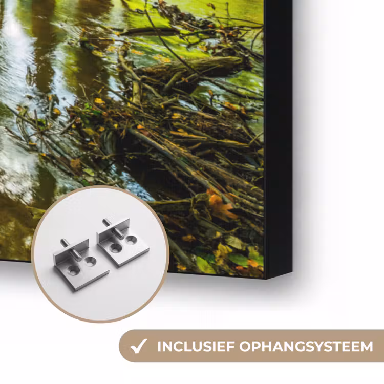Art Frame - Bos - Landschap - Water - Bomen - Zon - Groen - Natuur — 6