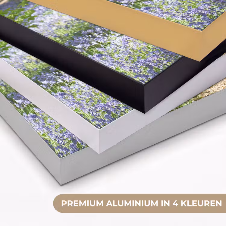 Art Frame - Bos - Pad - Bloemen - Paars - Groen - Natuur — 2