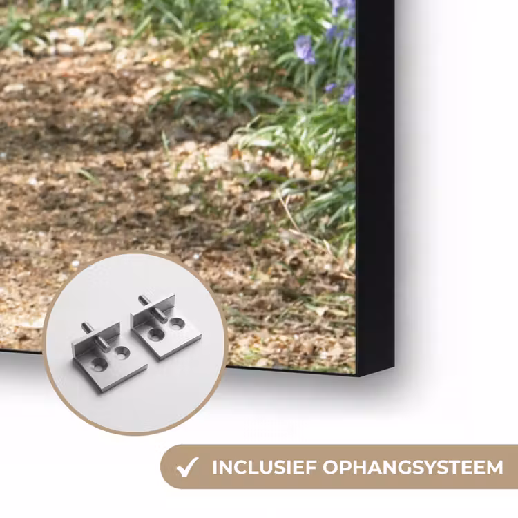 Art Frame - Bos - Pad - Bloemen - Paars - Groen - Natuur — 6
