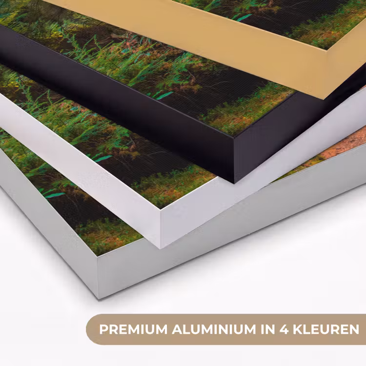 Art Frame - Bos - Pad - Bomen - Groen - Zon - Natuur — 2