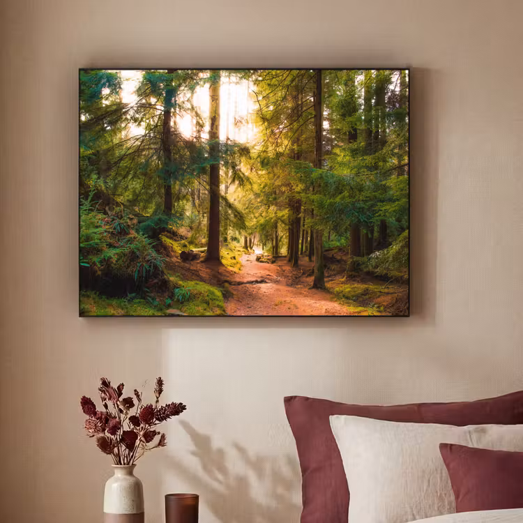 Art Frame - Bos - Pad - Bomen - Groen - Zon - Natuur — 3