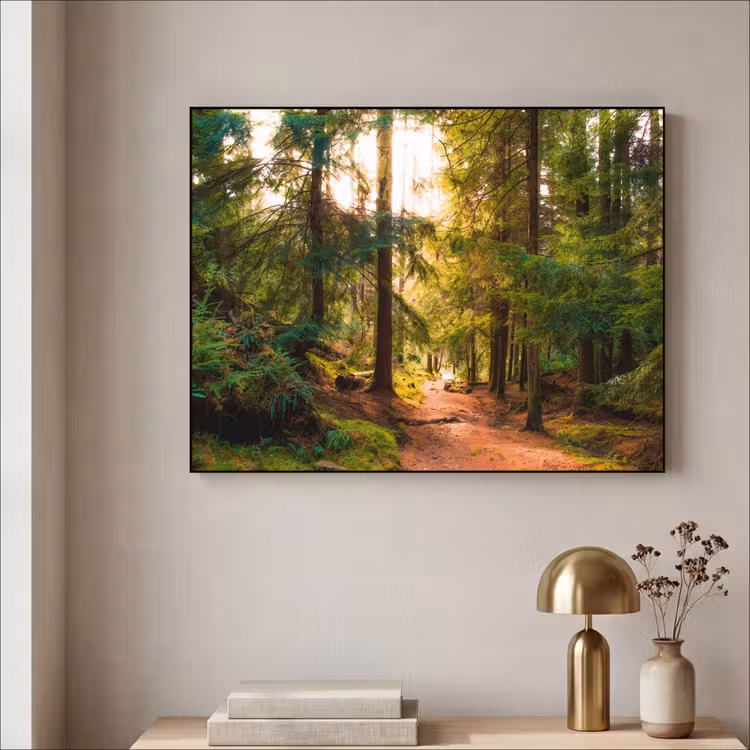 Art Frame - Bos - Pad - Bomen - Groen - Zon - Natuur — 5