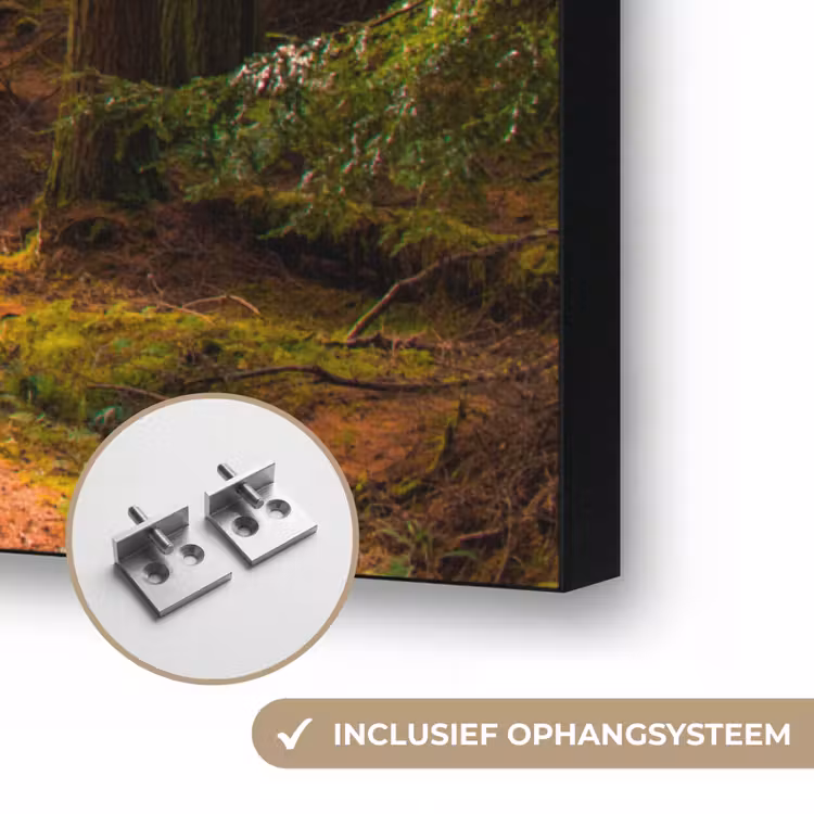 Art Frame - Bos - Pad - Bomen - Groen - Zon - Natuur — 6