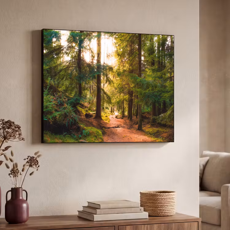 Art Frame - Bos - Pad - Bomen - Groen - Zon - Natuur — 7