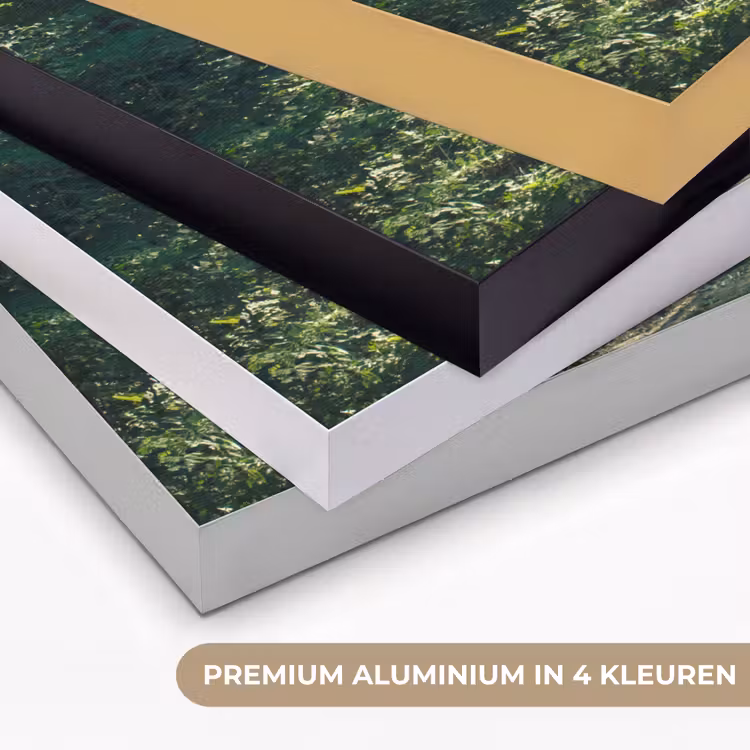 Art Frame - Bos - Pad - Zon - Bomen - Groen - Natuur — 2