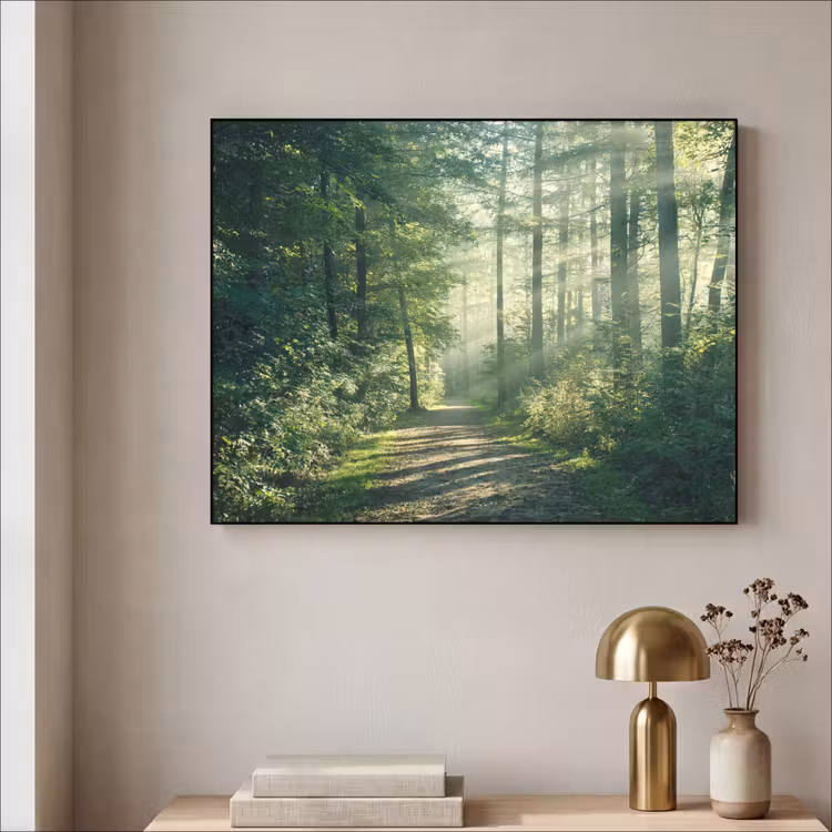 Art Frame - Bos - Pad - Zon - Bomen - Groen - Natuur — 5