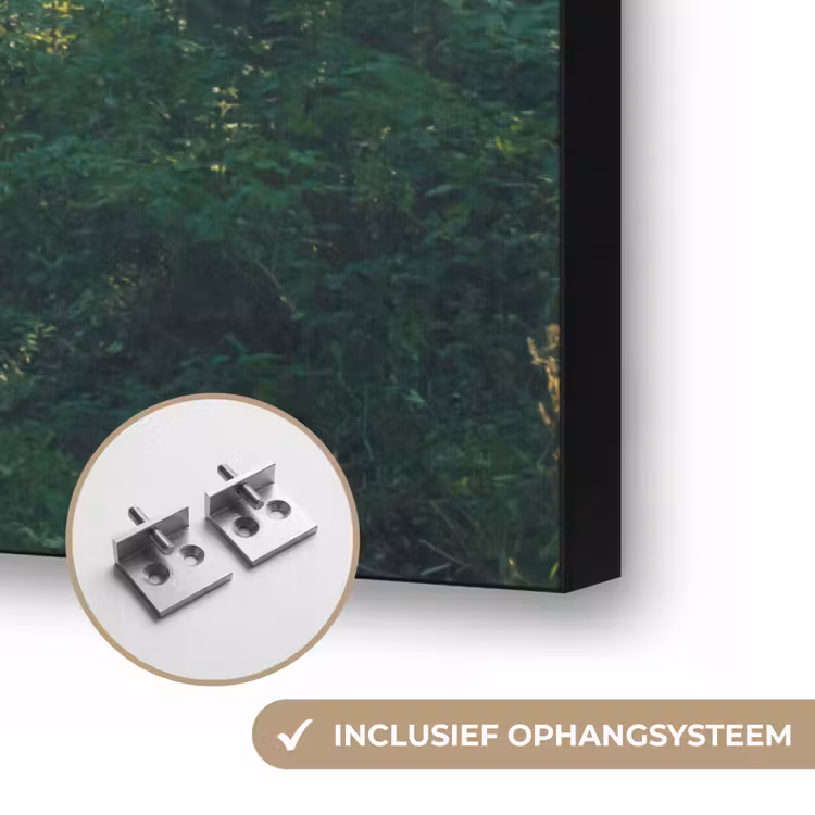 Art Frame - Bos - Pad - Zon - Bomen - Groen - Natuur — 6