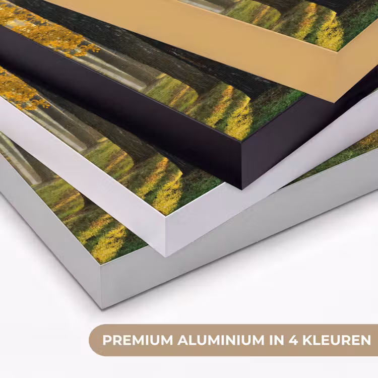Art Frame - Bos - Zon - Bomen - Gras - Landschap - Natuur — 2