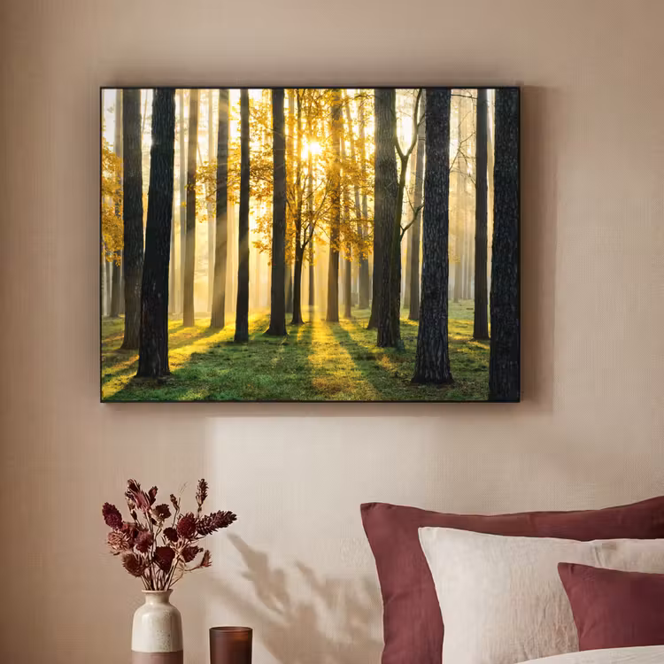 Art Frame - Bos - Zon - Bomen - Gras - Landschap - Natuur — 3