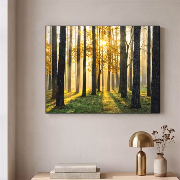 Art Frame - Bos - Zon - Bomen - Gras - Landschap - Natuur — 5