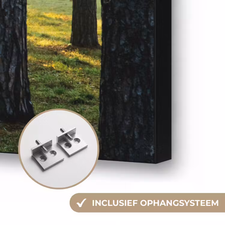 Art Frame - Bos - Zon - Bomen - Gras - Landschap - Natuur — 6