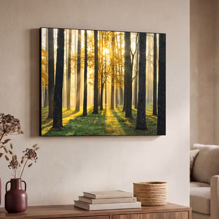 Art Frame - Bos - Zon - Bomen - Gras - Landschap - Natuur — 7