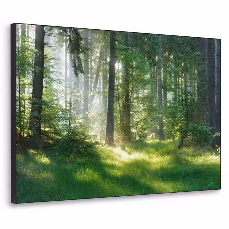 Art Frame - Natuur - Bomen - Bos - Groen - Zon - Gras - Planten — 1