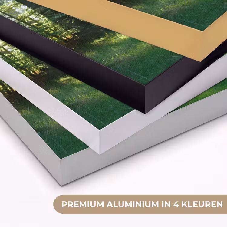 Art Frame - Natuur - Bomen - Bos - Groen - Zon - Gras - Planten — 2