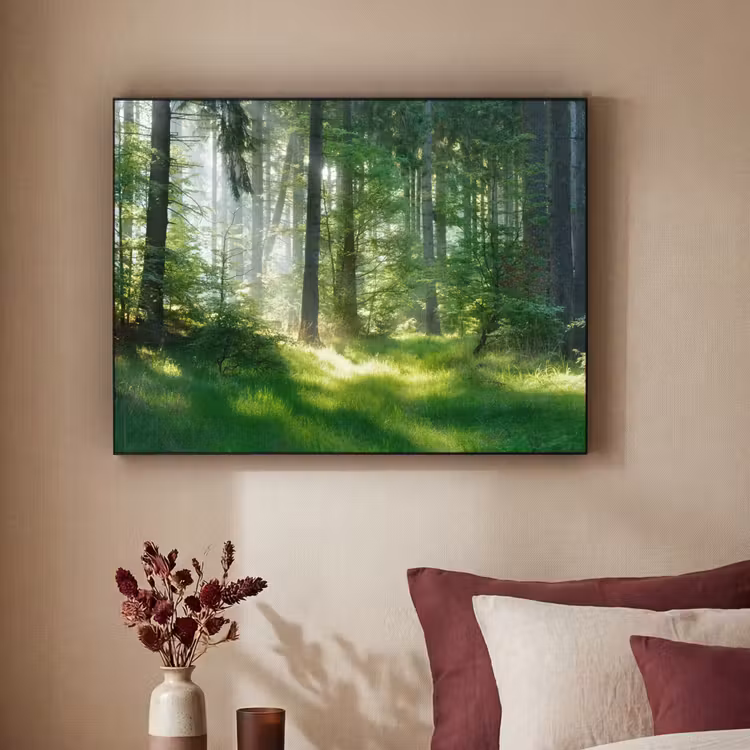 Art Frame - Natuur - Bomen - Bos - Groen - Zon - Gras - Planten — 3