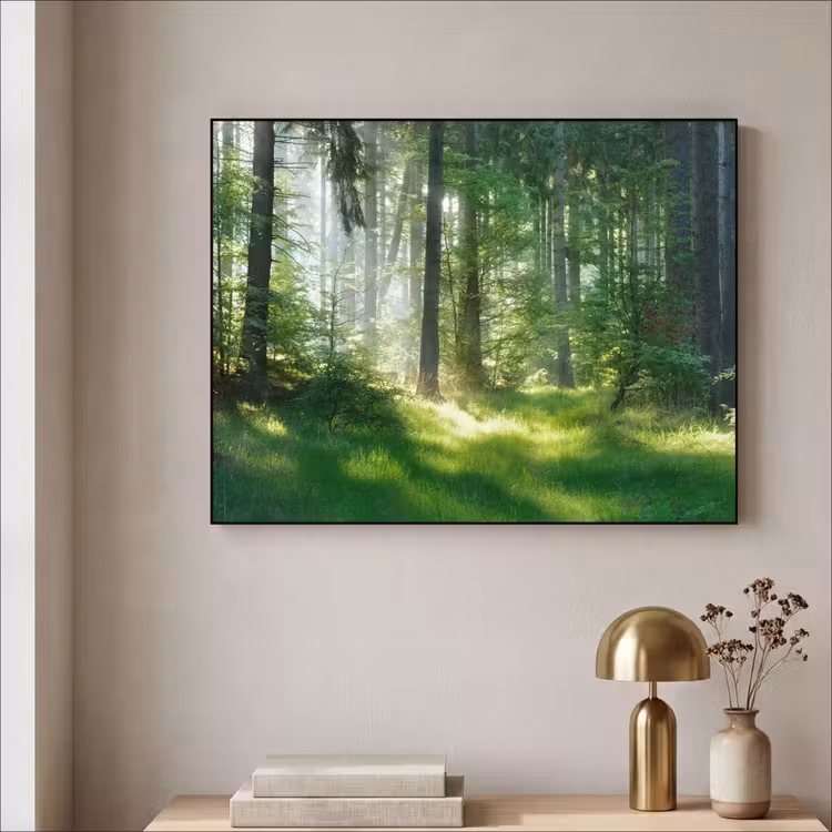Art Frame - Natuur - Bomen - Bos - Groen - Zon - Gras - Planten — 5