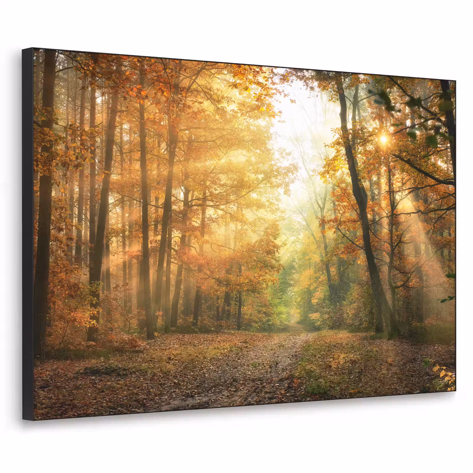 Art Frame - Bos - Herfst - Zon - Landschap - Natuur - Bomen - Bladeren — 1