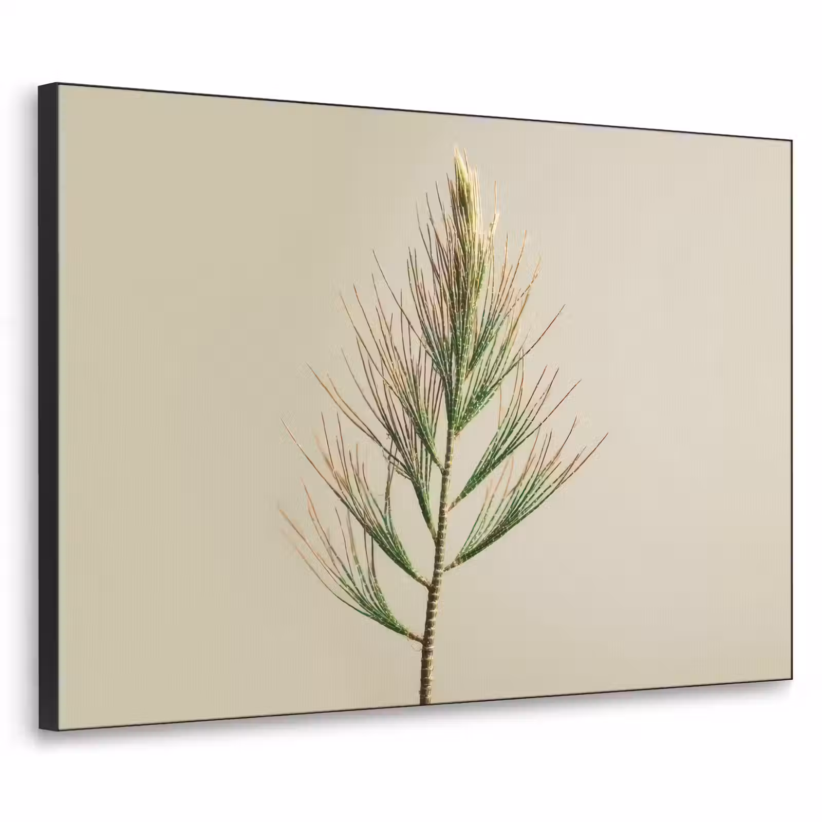Art Frame - Dennentak - Naaldvormige bladeren - Lichtgroen — 1