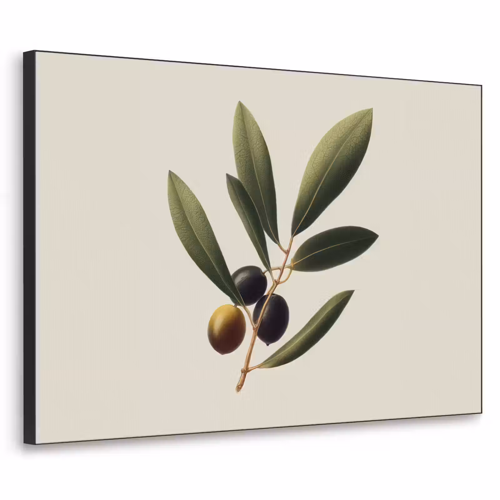 Art Frame - Olijftak - Donkergroen - Olijven — 1