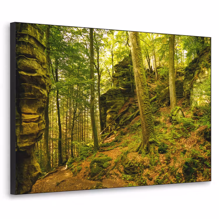 Art Frame - Bomen - Steen - Bos - Natuur - Planten — 1