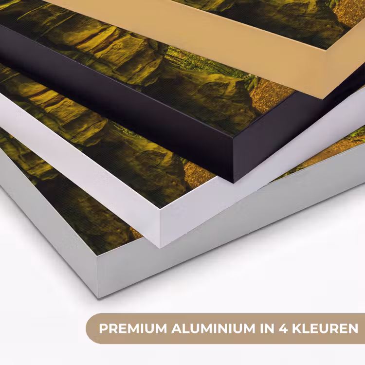 Art Frame - Bomen - Steen - Bos - Natuur - Planten — 2
