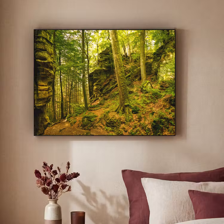 Art Frame - Bomen - Steen - Bos - Natuur - Planten — 3