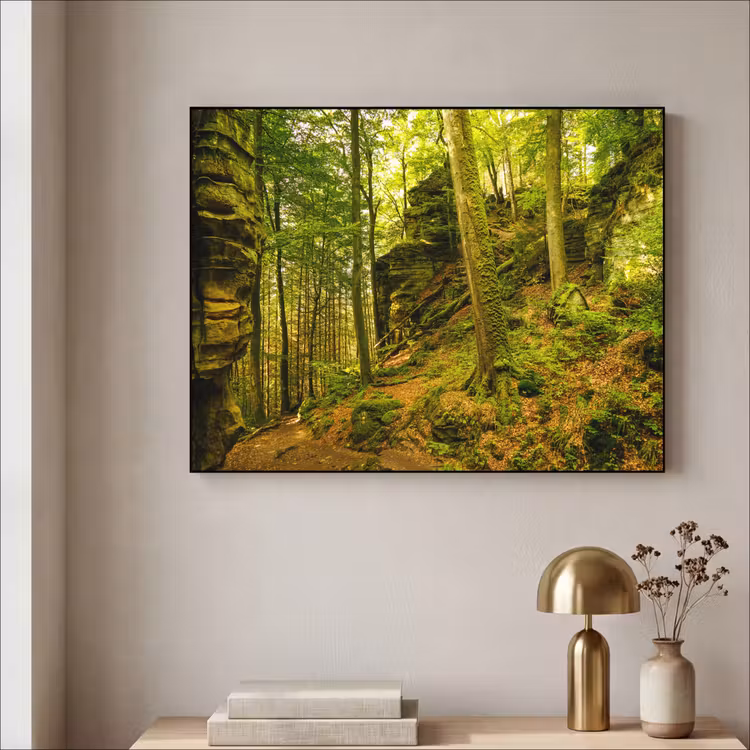 Art Frame - Bomen - Steen - Bos - Natuur - Planten — 5