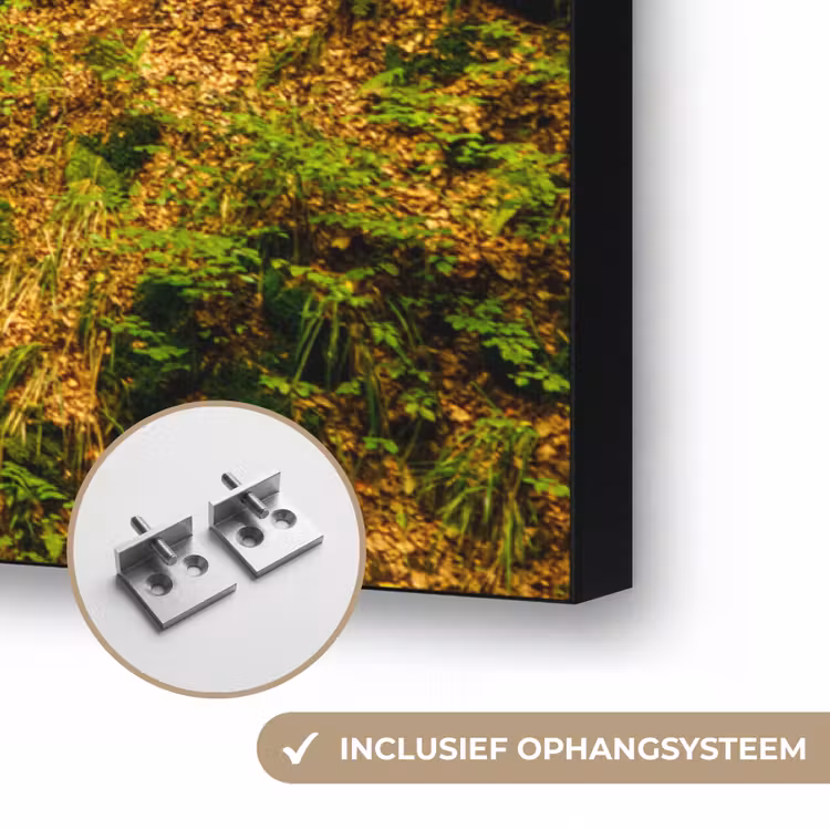 Art Frame - Bomen - Steen - Bos - Natuur - Planten — 6
