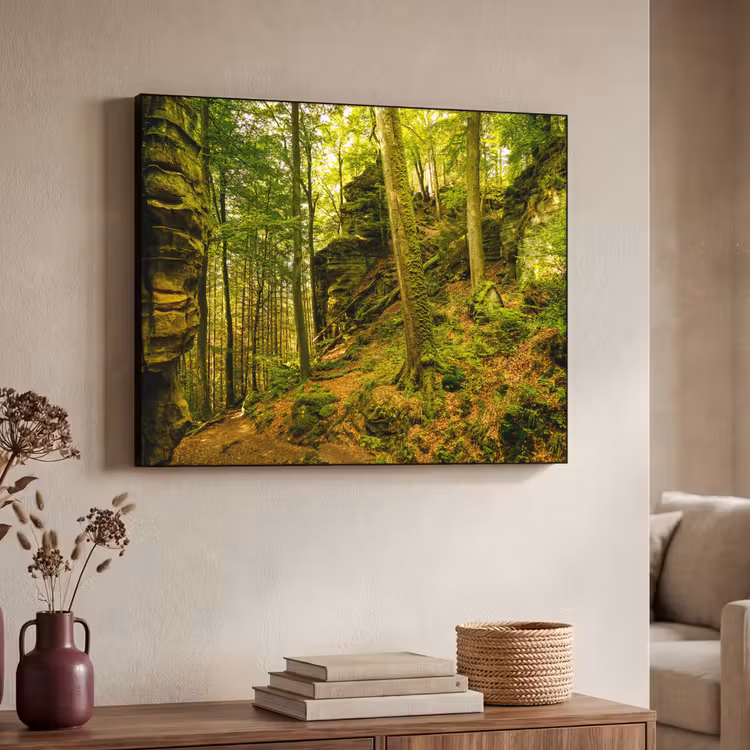 Art Frame - Bomen - Steen - Bos - Natuur - Planten — 7