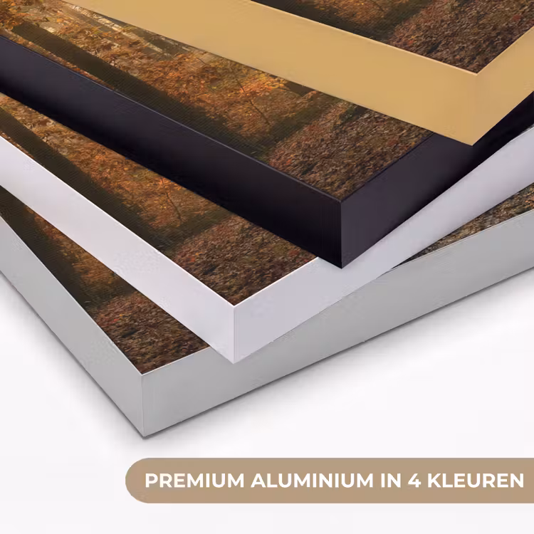 Art Frame - Bos - Herfst - Zon - Landschap - Natuur - Bomen - Bladeren — 2