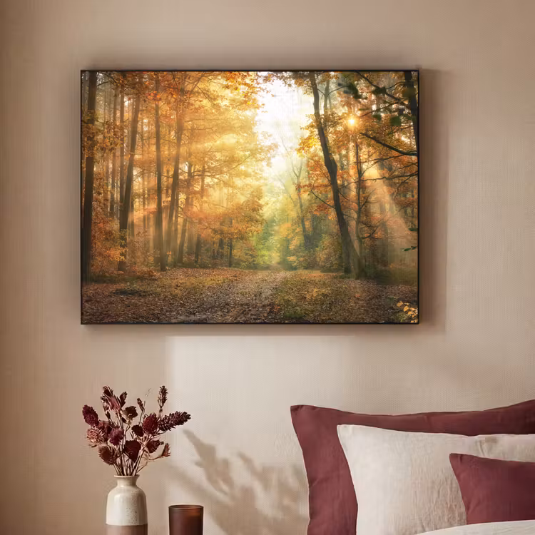 Art Frame - Bos - Herfst - Zon - Landschap - Natuur - Bomen - Bladeren — 3