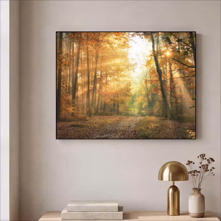Art Frame - Bos - Herfst - Zon - Landschap - Natuur - Bomen - Bladeren — 5