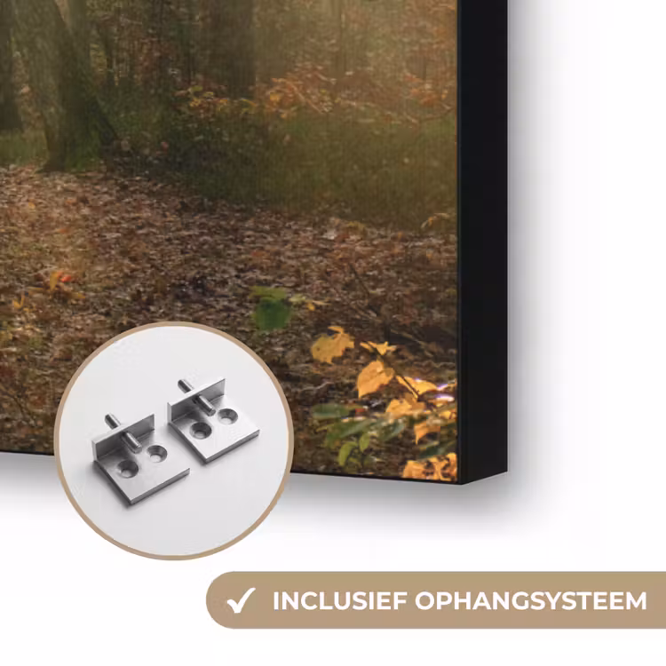 Art Frame - Bos - Herfst - Zon - Landschap - Natuur - Bomen - Bladeren — 6