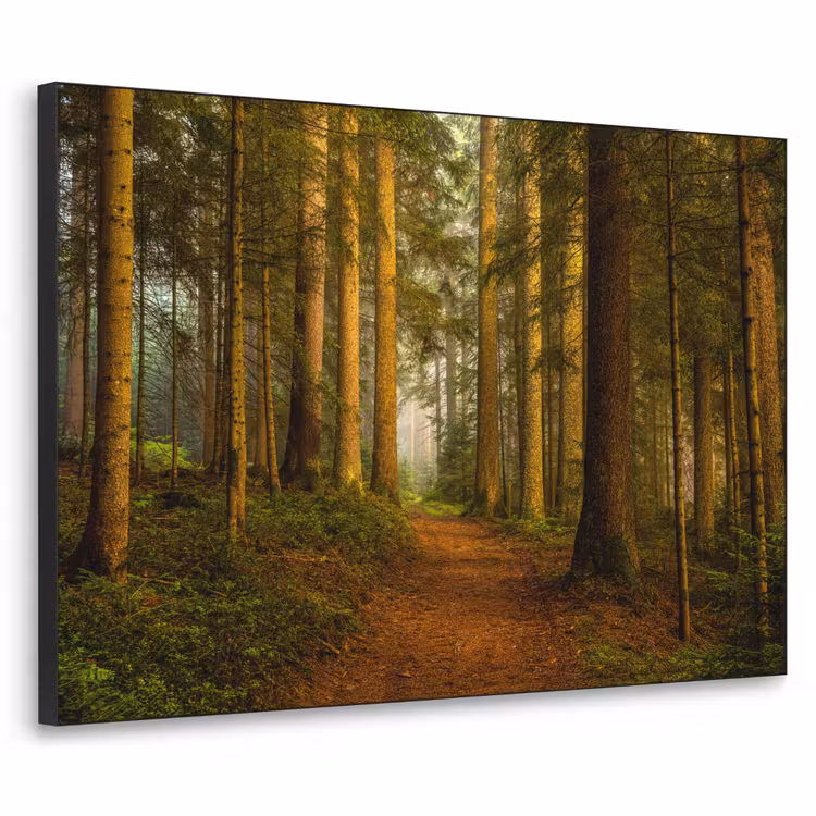 Art Frame - Bos - Natuur - Bomen - Landschap - Bladeren — 1