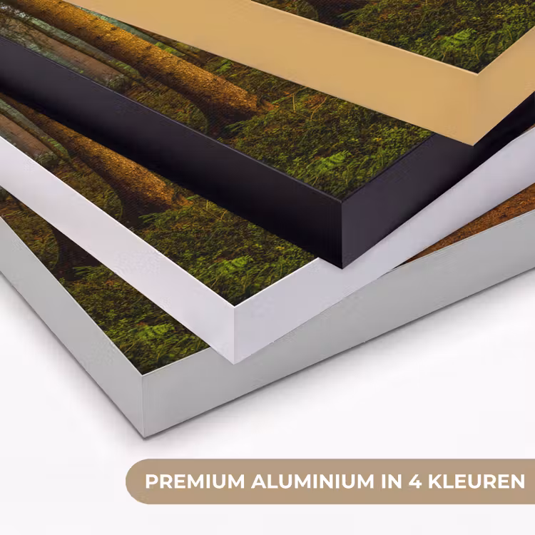 Art Frame - Bos - Natuur - Bomen - Landschap - Bladeren — 2
