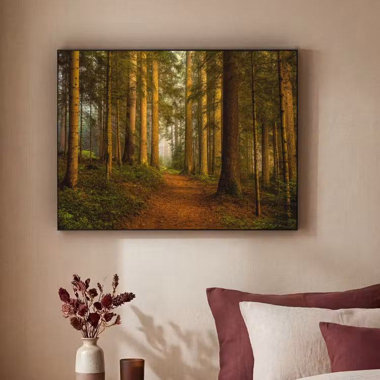 Art Frame - Bos - Natuur - Bomen - Landschap - Bladeren — 3