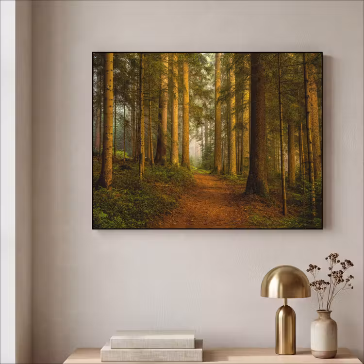 Art Frame - Bos - Natuur - Bomen - Landschap - Bladeren — 5