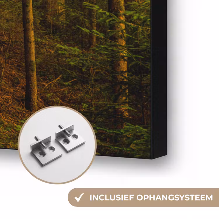 Art Frame - Bos - Natuur - Bomen - Landschap - Bladeren — 6