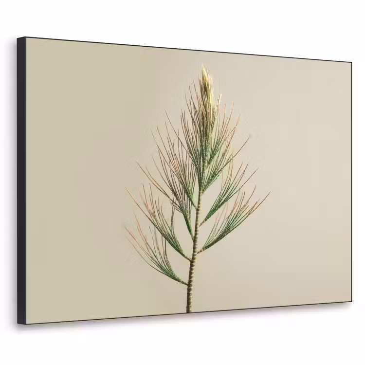 Art Frame - Dennentak - Naaldvormige bladeren - Lichtgroen — 1
