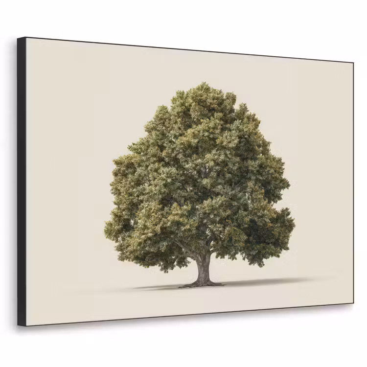 Art Frame - Eikenboom - Groen - Lichte achtergrond — 1