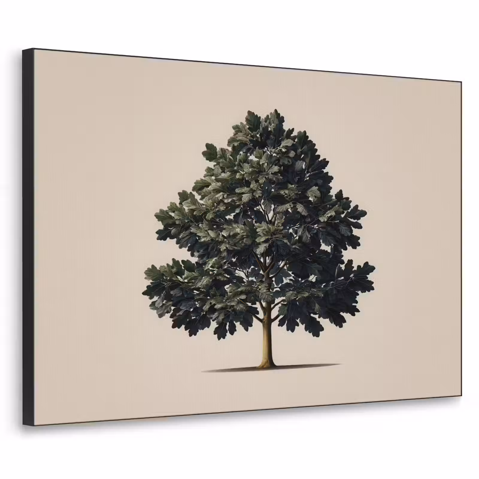 Art Frame - Eikenboom - Schaduw - Egaal — 1