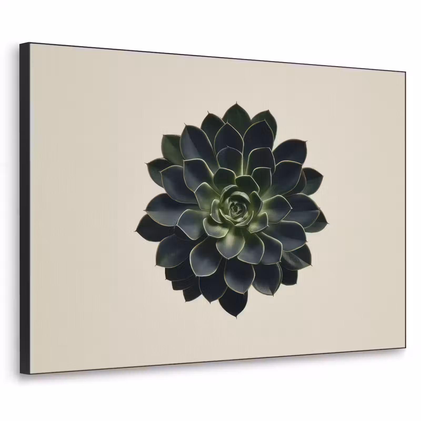 Art Frame - Rozet - Cirkelvormig - Donkergroen — 1