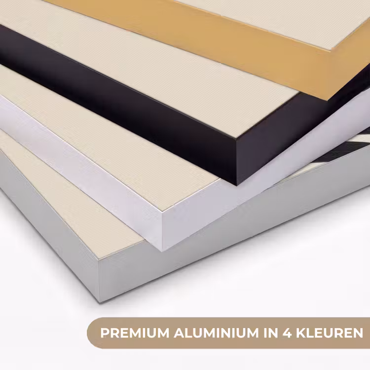 Art Frame - Palmblad - Donkere bladen - Subtiel — 2