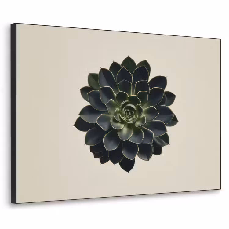 Art Frame - Rozet - Cirkelvormig - Donkergroen — 1