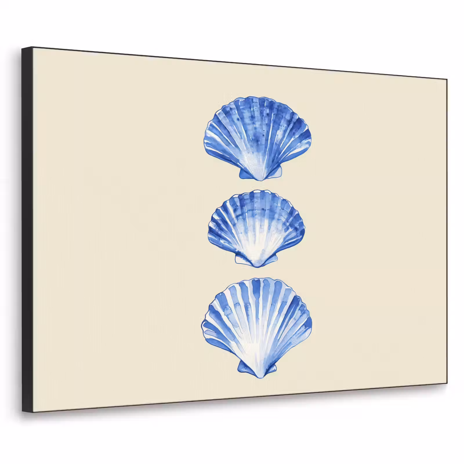 Art Frame - Schelpen - Blauw - Beige — 1