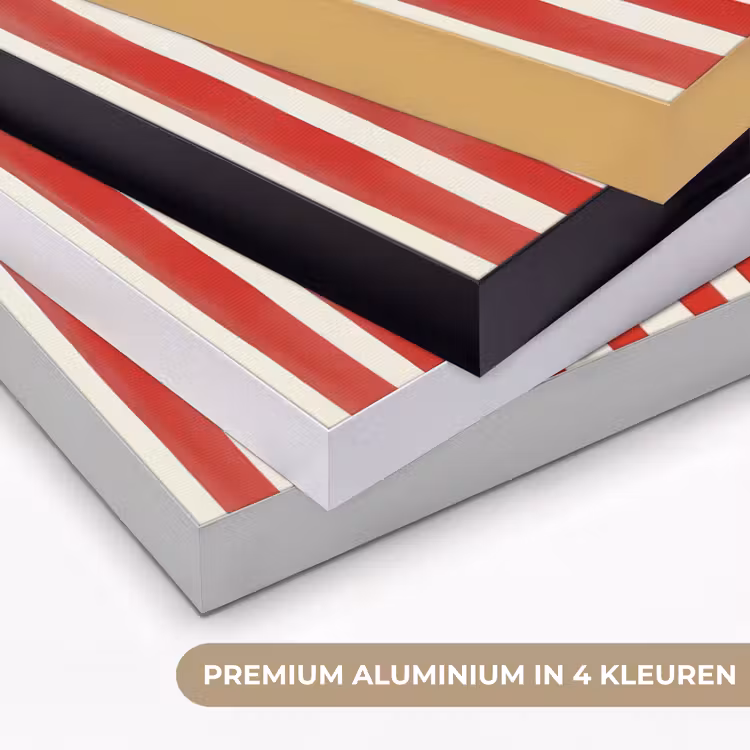Art Frame - Vissen - Verticale strepen - Blauw - Rood — 2