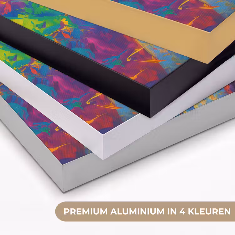 Art Frame - Regenboogkleuren - Man - schilderij — 2