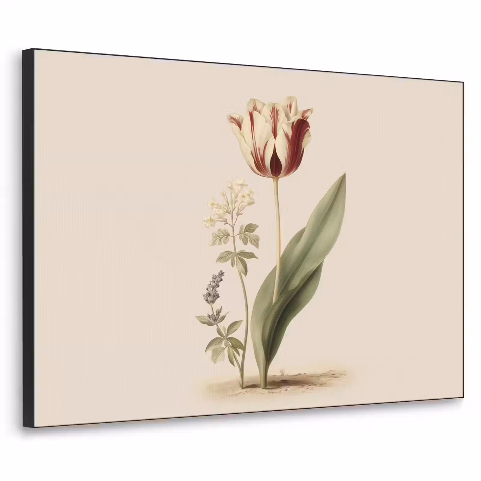 Art Frame - Tulp - Minimalistisch - Beige — 1