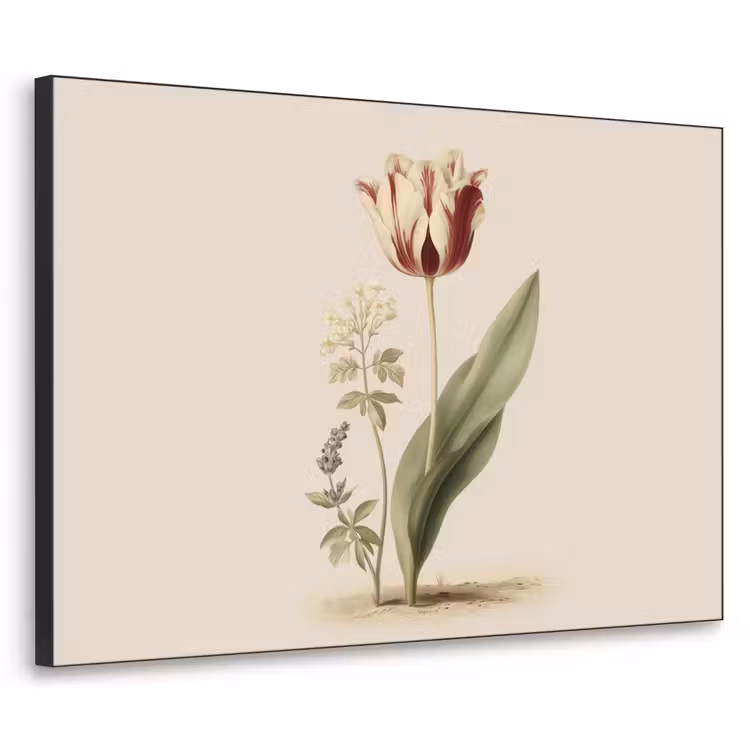 Art Frame - Tulp - Minimalistisch - Beige — 1